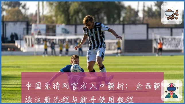中国竞猜网官方入口解析：全面解读注册流程与新手使用教程