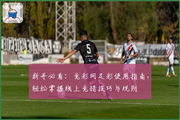 新手必看：竞彩网足彩使用指南，轻松掌握线上竞猜技巧与规则